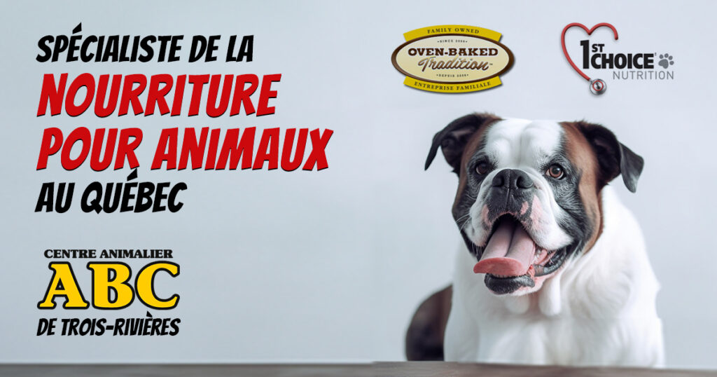 Nourriture pour chiens et chats